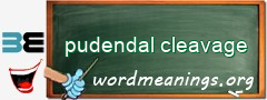 WordMeaning blackboard for pudendal cleavage